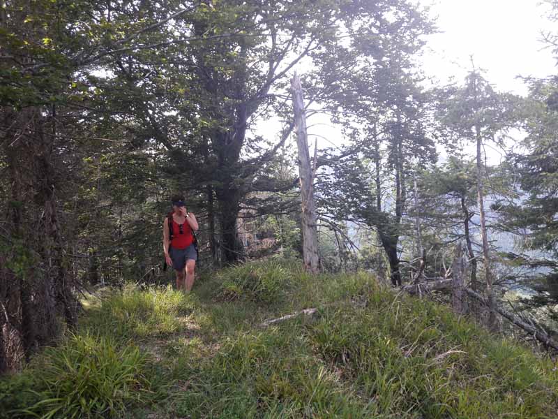 Foto: Rupert Gredler / Wandertour / Der Pitrach, eine stille Rundtour / Die letzten Meter zum Gipfel / 28.07.2019 12:11:40