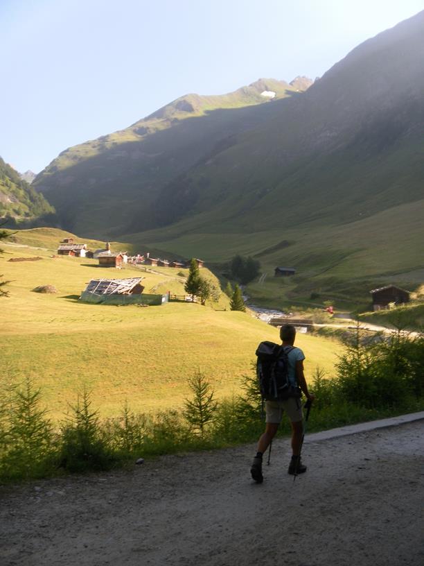 Foto: Wolfgang Lauschensky / Wandertour / Wurmaulspitze 3022m / Weg zur Fane Alm / 31.07.2019 00:44:23