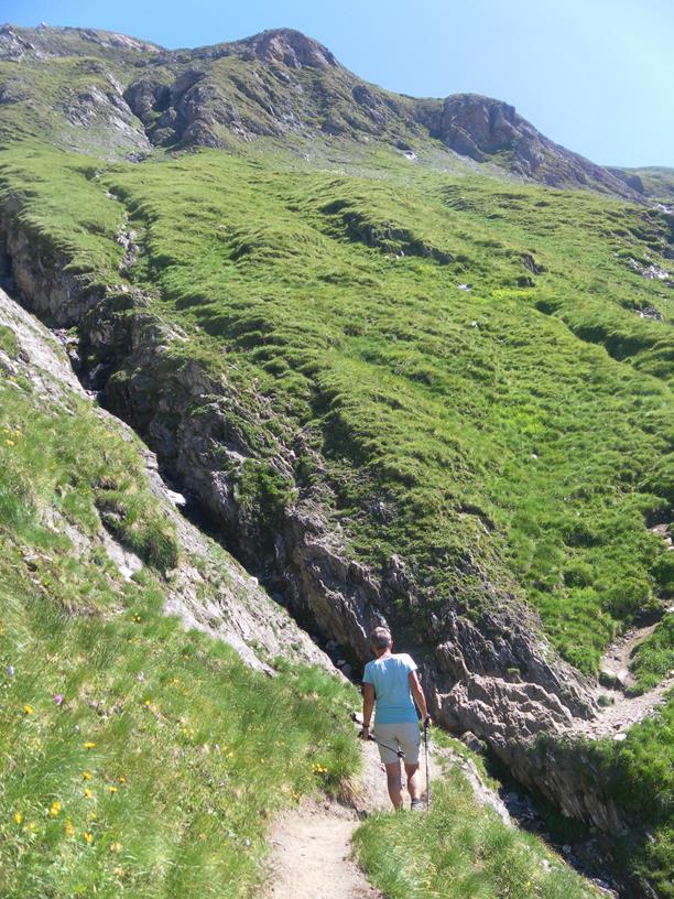 Foto: Wolfgang Lauschensky / Wandertour / Wurmaulspitze 3022m / Bachgrabenquerung / 31.07.2019 00:43:34
