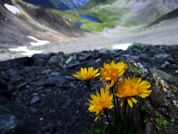 Foto: Andreas Koller / Klettersteigtour / Via ferrata de la Grande Chenalette et Pointe de Drone (2950m) / 02.08.2019 19:07:15