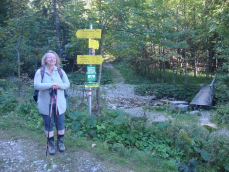 Foto: Wolfgang Dröthandl / Wandertour / Kleiner und Großer Königskogel / Abgang in Schöneben / 25.09.2019 12:32:43