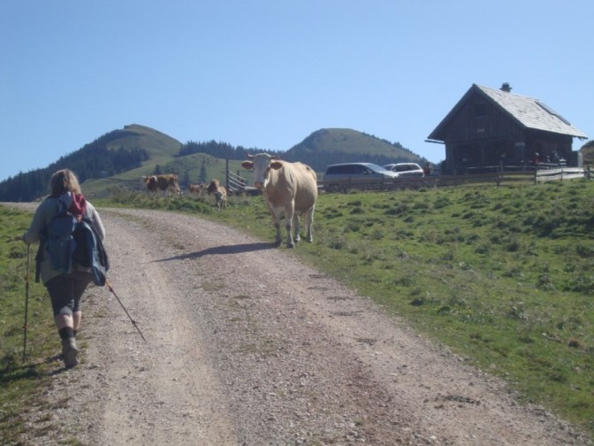 Foto: Wolfgang Dröthandl / Wandertour / Kleiner und Großer Königskogel / Dürriegelalm gegen Kleinen und Großen Königskogel / 25.09.2019 12:31:53
