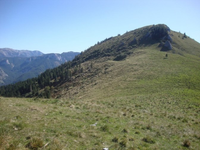 Foto: Wolfgang Dröthandl / Wandertour / Kleiner und Großer Königskogel / Blick hinüber zum Großen Königskogel, links
Veitschalpe / 25.09.2019 12:26:31