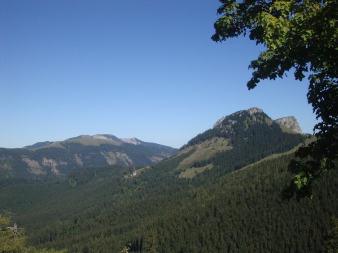 Foto: Wolfgang Dröthandl / Wandertour / Kleiner und Großer Königskogel / Göller, davor Wildalpe, Kleiner und Großer Proles von
Dürriegelalm / 25.09.2019 12:23:39