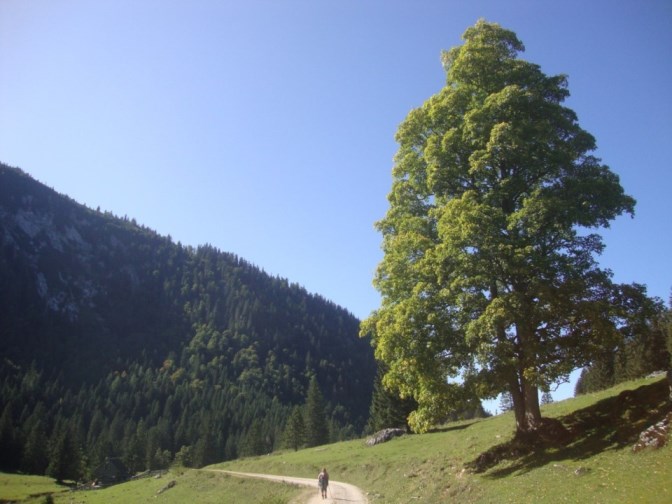 Foto: Wolfgang Dröthandl / Wandertour / Kleiner und Großer Königskogel / Rückweg / 25.09.2019 12:21:04