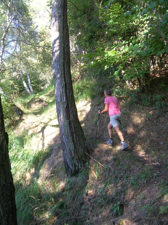 Foto: Wolfgang Lauschensky / Wandertour / Monte Palanzone über Monte Bolettone / Waldsteig zum Monte Bolettone / 02.10.2019 19:53:18