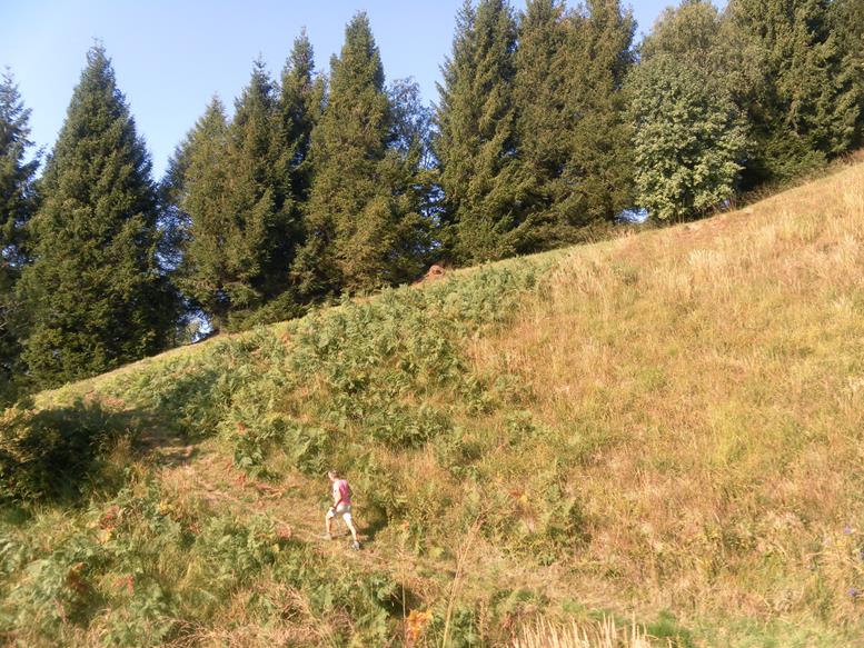 Foto: Wolfgang Lauschensky / Wandertour / Monte Palanzone über Monte Bolettone / am Südgratrücken / 02.10.2019 19:53:14