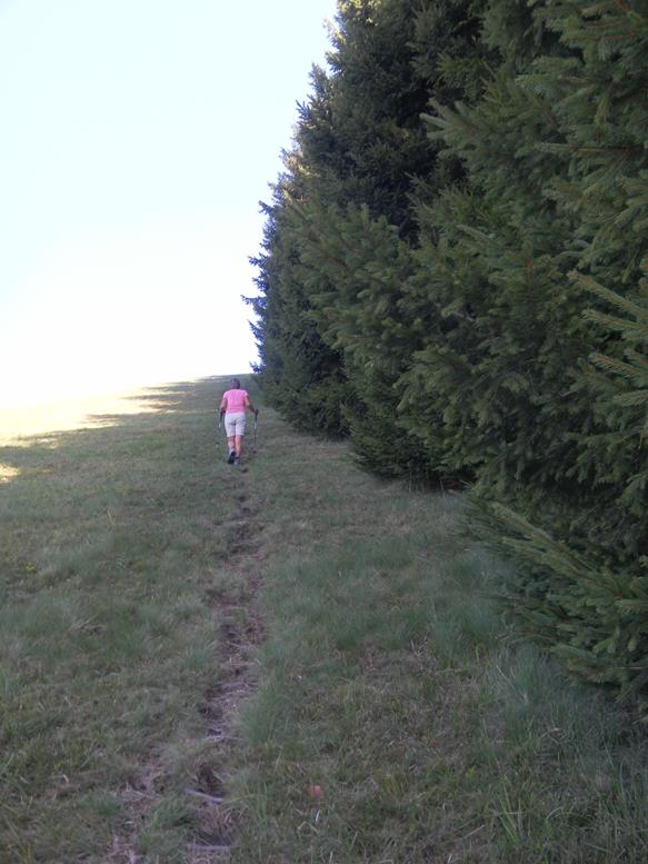 Foto: Wolfgang Lauschensky / Wandertour / Monte Palanzone über Monte Bolettone / Südgratrücken / 02.10.2019 19:53:05