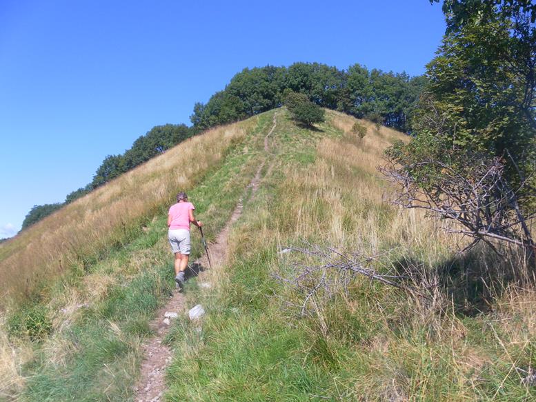 Foto: Wolfgang Lauschensky / Wandertour / Monte Palanzone über Monte Bolettone / Südrücken zum Pizzo del Asino / 02.10.2019 19:52:37
