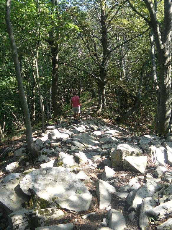 Foto: Wolfgang Lauschensky / Wandertour / Monte Palanzone über Monte Bolettone / Abstieg zur Bocchetta di Palanzo / 02.10.2019 19:52:33