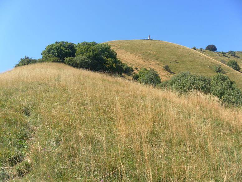 Foto: Wolfgang Lauschensky / Wandertour / Monte Palanzone über Monte Bolettone / Ostgratrücken / 02.10.2019 19:52:13