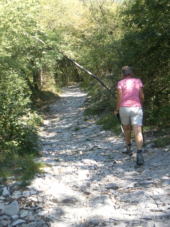 Foto: Wolfgang Lauschensky / Wandertour / Monte San Giorgio - Monte Pravello Runde / Via dei Monti / 03.10.2019 17:45:21