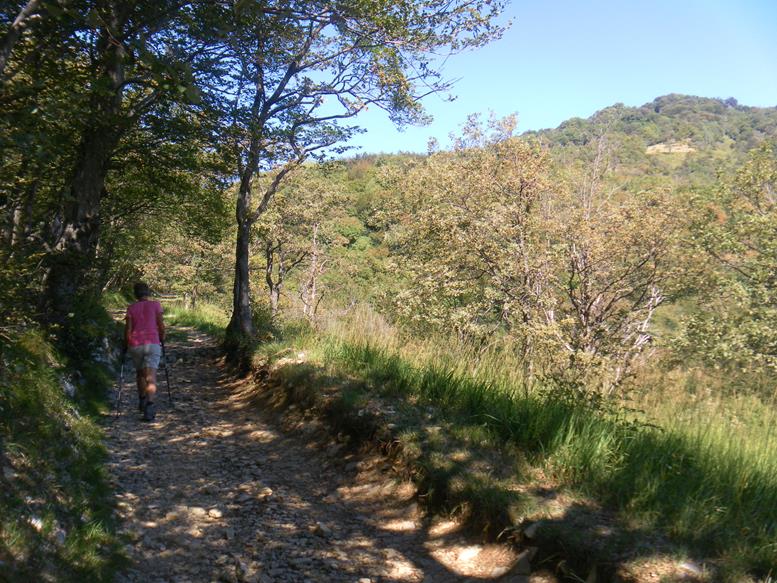 Foto: Wolfgang Lauschensky / Wandertour / Monte San Giorgio - Monte Pravello Runde / Monte San Giorgio / 03.10.2019 17:45:17
