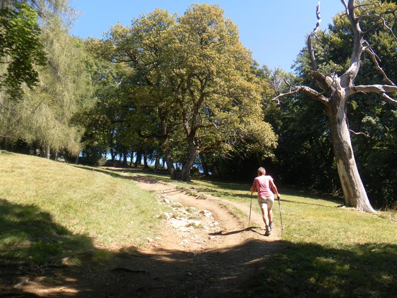 Foto: Wolfgang Lauschensky / Wandertour / Monte San Giorgio - Monte Pravello Runde / Gipfelpark / 03.10.2019 17:45:08