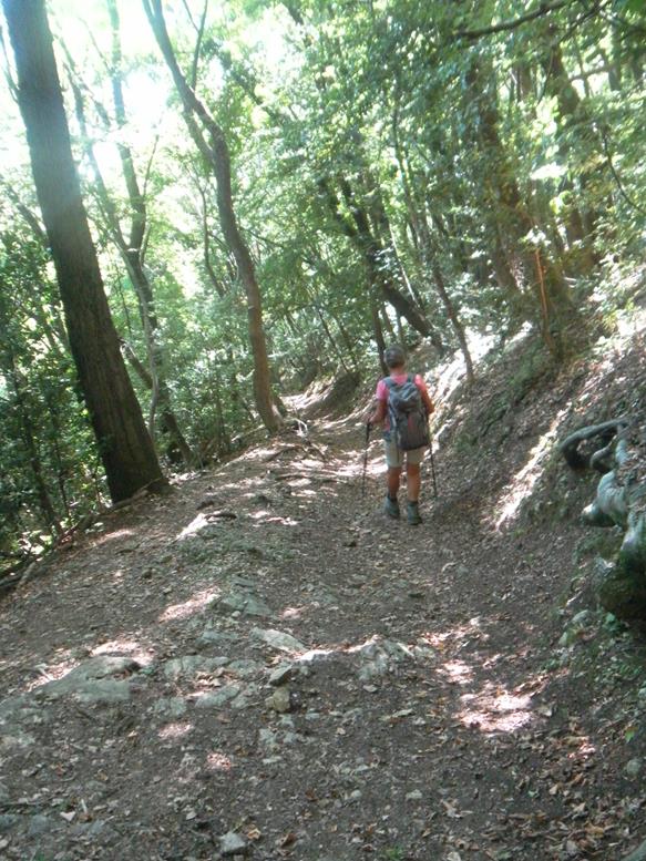 Foto: Wolfgang Lauschensky / Wandertour / Monte San Giorgio - Monte Pravello Runde / Abstieg nach Crocifisso / 03.10.2019 17:44:53
