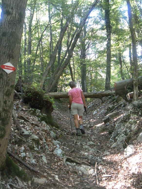 Foto: Wolfgang Lauschensky / Wandertour / Monte San Giorgio - Monte Pravello Runde / Anstieg zum Poncione d'Arzo / 03.10.2019 17:44:44