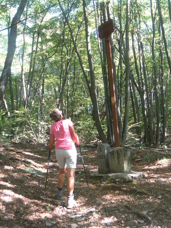Foto: Wolfgang Lauschensky / Wandertour / Monte San Giorgio - Monte Pravello Runde / Grenzmarke CH/I / 03.10.2019 17:44:40