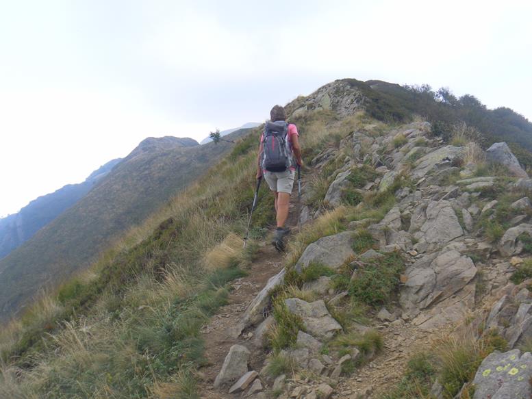Foto: Wolfgang Lauschensky / Wandertour / Monte Tamaro 1963m bis Monte Lema 1619m / Kammhöcker / 04.10.2019 01:11:47