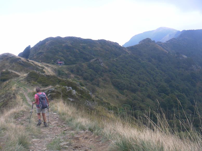 Foto: Wolfgang Lauschensky / Wandertour / Monte Tamaro 1963m bis Monte Lema 1619m / Monte Zottone / 04.10.2019 01:11:43