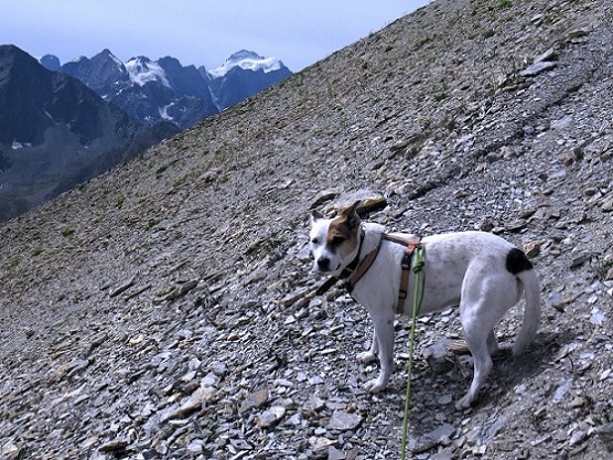 Foto: Andreas Koller / Wandertour / Pic Blanc du Galibier (2955m) / 25.10.2019 00:22:58