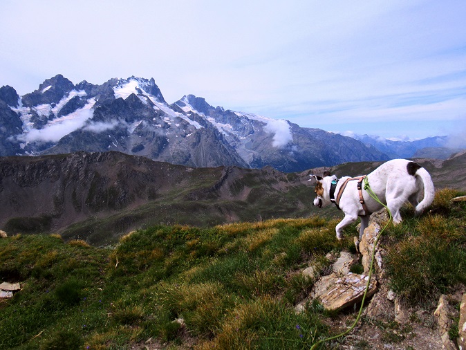 Foto: Andreas Koller / Wandertour / Pic Blanc du Galibier (2955m) / 25.10.2019 00:22:28