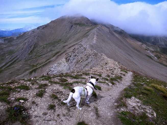 Foto: Andreas Koller / Wandertour / Pic Blanc du Galibier (2955m) / 25.10.2019 00:22:16