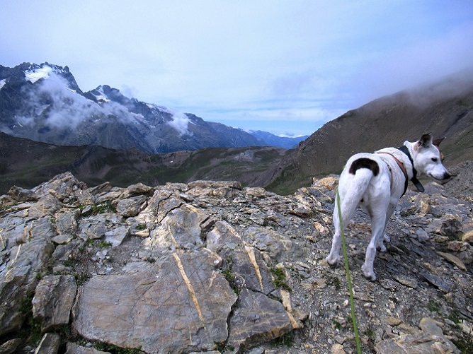Foto: Andreas Koller / Wandertour / Pic Blanc du Galibier (2955m) / 25.10.2019 00:22:07