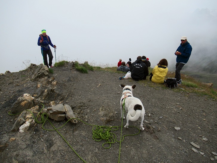 Foto: Andreas Koller / Wandertour / Pic Blanc du Galibier (2955m) / Am Pic Blanc du Galibier / 25.10.2019 00:21:36