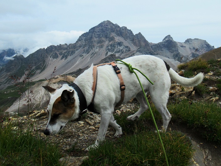 Foto: Andreas Koller / Wandertour / Pic Blanc du Galibier (2955m) / 25.10.2019 00:19:37