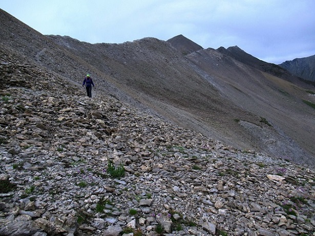 Foto: Andreas Koller / Wandertour / Pic Blanc du Galibier (2955m) / 25.10.2019 00:19:13