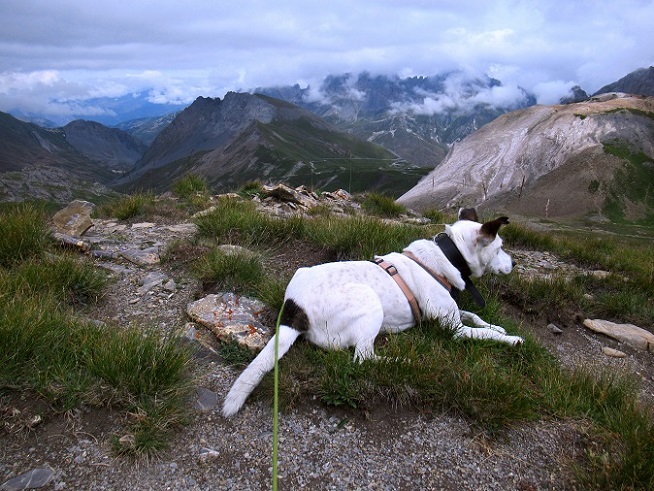 Foto: Andreas Koller / Wandertour / Pic Blanc du Galibier (2955m) / 25.10.2019 00:19:01
