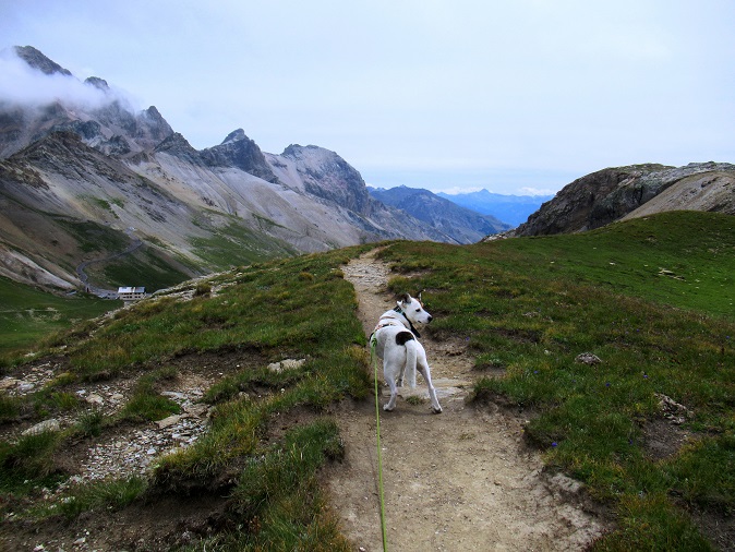 Foto: Andreas Koller / Wandertour / Pic Blanc du Galibier (2955m) / 25.10.2019 00:18:54