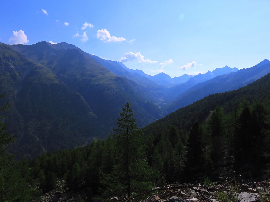 Foto: Andreas Koller / Wandertour / Punta Fenilia (3053m) / 15.12.2019 23:49:38
