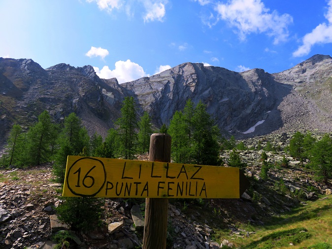 Foto: Andreas Koller / Wandertour / Punta Fenilia (3053m) / 15.12.2019 23:49:27