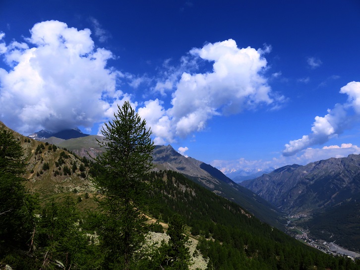 Foto: Andreas Koller / Wandertour / Punta Fenilia (3053m) / 15.12.2019 23:49:16
