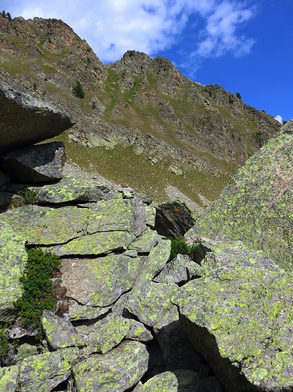 Foto: Andreas Koller / Wandertour / Punta Fenilia (3053m) / 15.12.2019 23:48:43