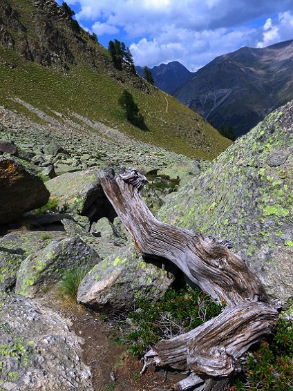 Foto: Andreas Koller / Wandertour / Punta Fenilia (3053m) / 15.12.2019 23:43:48