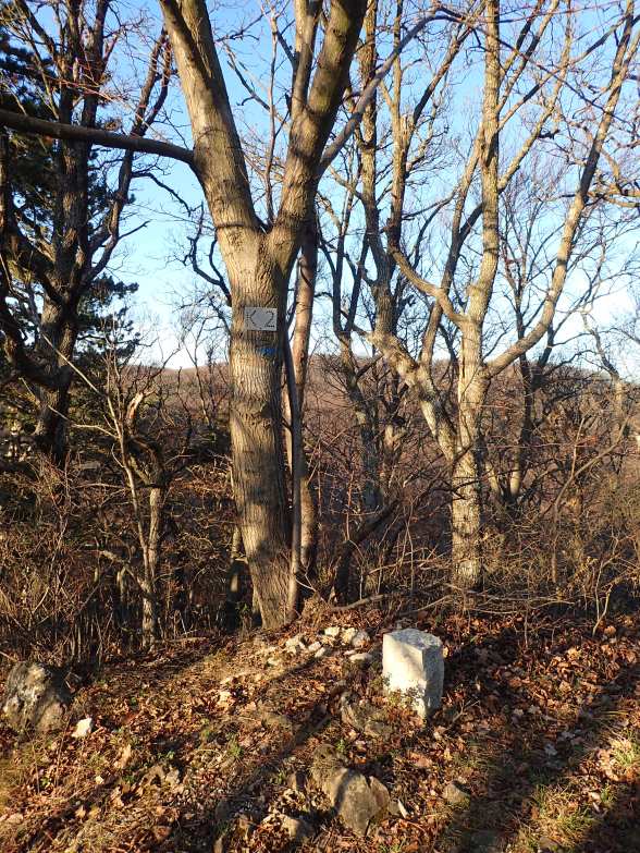 Foto: Manfred Karl / Wandertour / Hoher Ge: Rundtour zum Höllenstein / Am K2 = Mitterberg / 16.12.2019 07:22:06