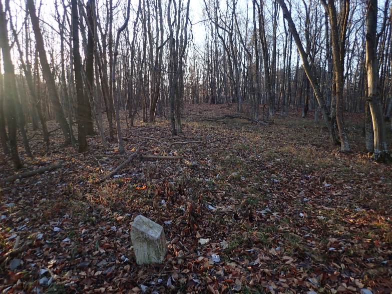 Foto: Manfred Karl / Wandertour / Hoher Ge: Rundtour zum Höllenstein / Salamanderhöhe / 16.12.2019 07:21:41