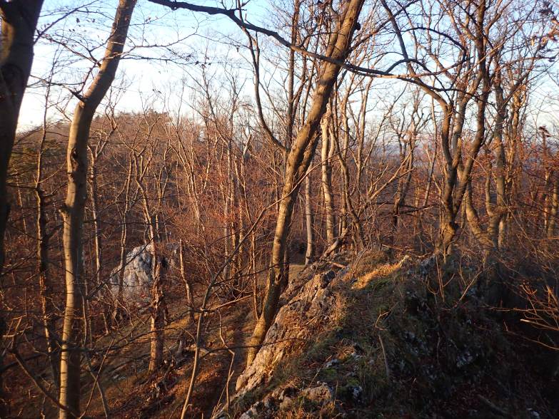 Foto: Manfred Karl / Wandertour / Hoher Ge: Rundtour zum Höllenstein / Am Höllensteinfelsen / 16.12.2019 07:20:43