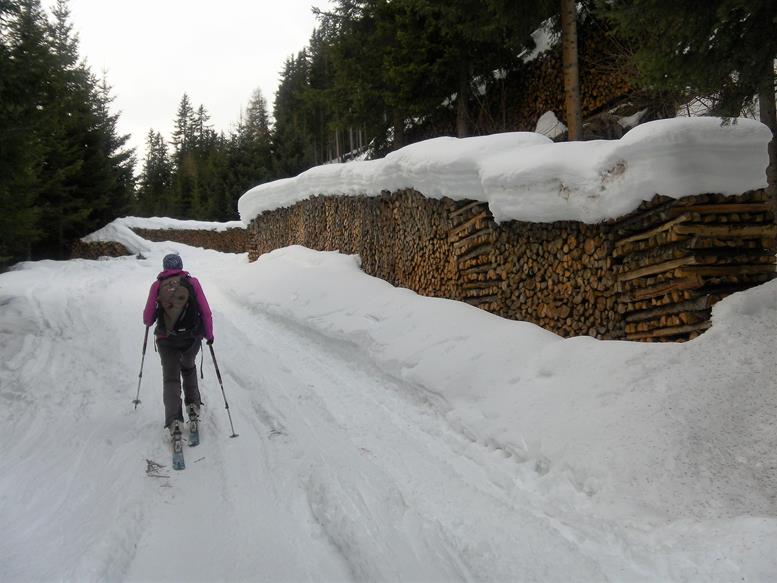Foto: Wolfgang Lauschensky / Skitour / Gabesitten 2665m / Start am Forstweg / 05.01.2020 00:19:52