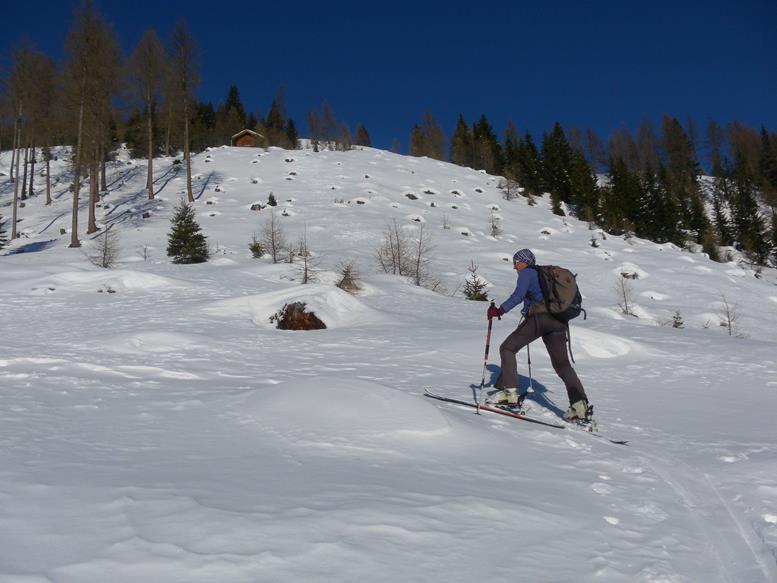 Foto: Wolfgang Lauschensky / Skitour / Böses Weibele 2521m und Hochstein 2057m / feine Hänge / 05.01.2020 19:38:32