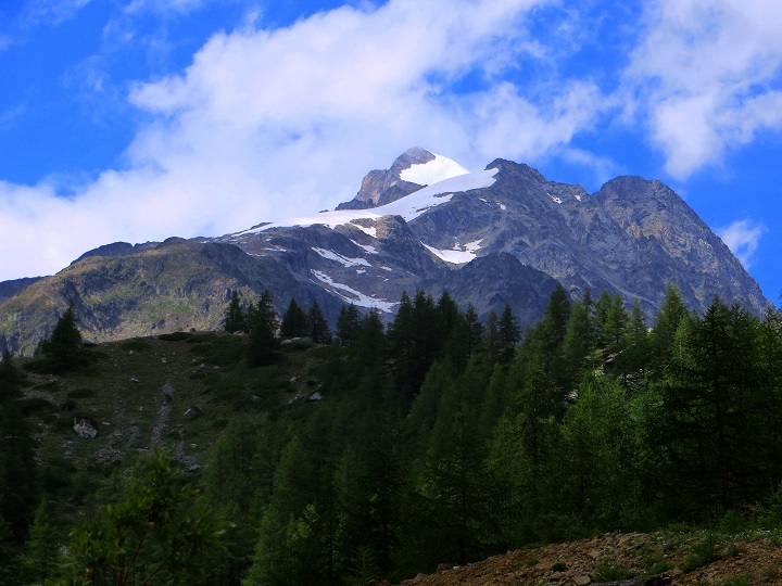 Foto: Andreas Koller / Wandertour / Wanderung zum Lago del Miage (2020m) / 14.01.2020 01:05:39