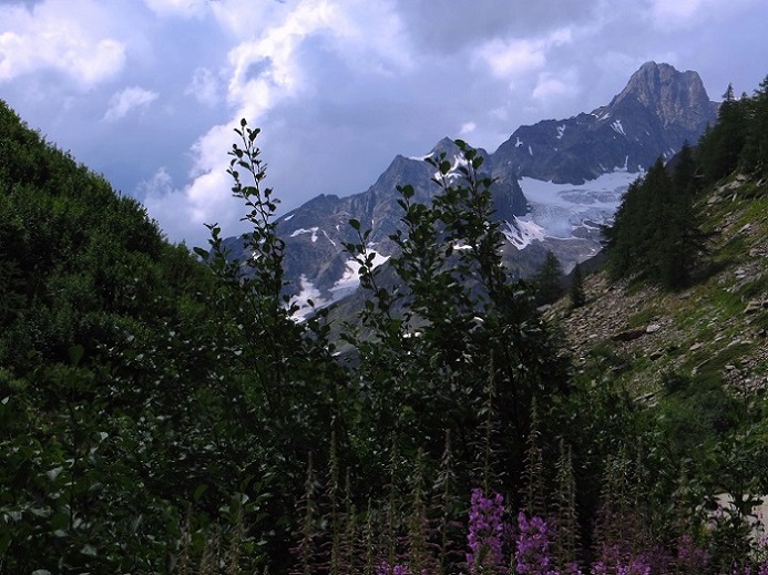 Foto: Andreas Koller / Wandertour / Wanderung zum Lago del Miage (2020m) / 14.01.2020 01:05:28