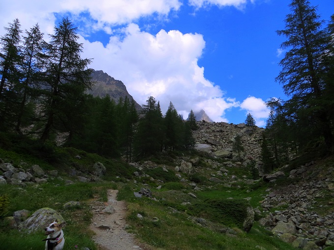 Foto: Andreas Koller / Wandertour / Wanderung zum Lago del Miage (2020m) / 14.01.2020 01:04:50