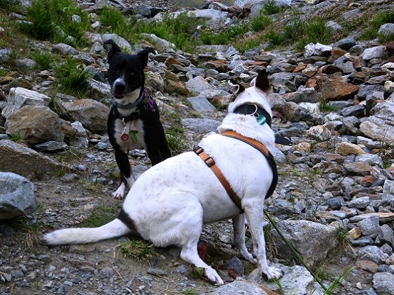 Foto: Andreas Koller / Wandertour / Wanderung zum Lago del Miage (2020m) / 14.01.2020 01:02:56