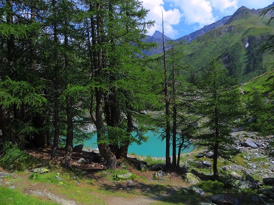 Foto: Andreas Koller / Wandertour / Wanderung zum Lago del Miage (2020m) / Abstieg vom Lago del Miage / 14.01.2020 01:01:42