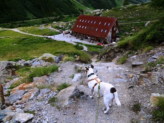 Foto: Andreas Koller / Wandertour / Wanderung zum Lago del Miage (2020m) / Kurz vor der Cabane du Combal / 14.01.2020 01:01:23