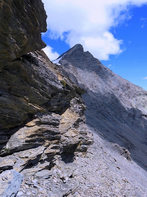 Foto: Andreas Koller / Wandertour / Aiguille de la Grande Sassière (3747m) / 17.01.2020 00:19:34