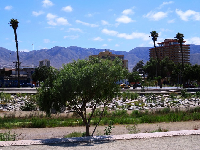 Foto: Andreas Koller / Wandertour / Bummeln in Copiapo (391m) / 21.01.2020 00:13:04